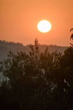 Görüntüde büyüleyici bir günbatımı var. Turuncu bir gökyüzü, ön planda siluetli ağaçlar ve uzak arkaplanda tepeler.. 