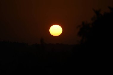 Altın güneş ufkun altına batar, ağaçları siluete düşürür ve ağaçlarla kaplı engin, karanlık bir arazide sakin bir manzara yaratır..