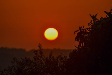 Güneş turuncu bir renkle batıyor, ağaçları ve bitkileri siluetliyor dramatik bir manzara yaratıyor. Uzak bir yamaç ufukta kaybolur..
