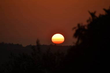 Canlı renkli bir güneş batıyor, gökyüzünü sıcak renklerle boyuyor gölgeli bir manzaranın arkasında ve siluetli ön planda bitki örtüsü.