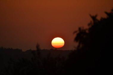 Gün batımı, siluetli ağaçların ve yuvarlanan tepelerin üzerine sıcak bir parıltı saçarak sakin bir manzara yaratır. Doğanın güzelliğinin büyüleyici bir görüntüsü.