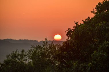 Günbatımının sıcacık parıltısı sakin bir sahneyi aydınlatıyor. Uzakta yuvarlanan tepeler ve ön planda canlı yeşillikler derinlik yaratıyor..