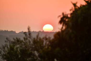 Büyüleyici bir sahne ufukta güneşin batışını gösterir, gökyüzünde sıcak bir parıltı yayar ve ağaçları gölgeler..