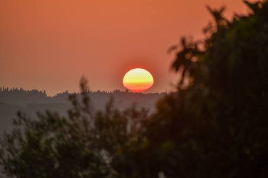 Canlı bir günbatımı ufku aydınlatır, manzarada altın bir parıltı bırakır ve uzak ağaçları gölgeler. Doğanın güzelliği açılır.