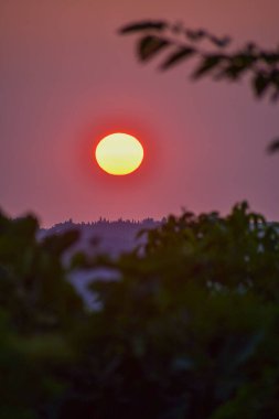 Canlı bir günbatımı, ufukta siluet oluşturan ağaçlarla birlikte manzaranın üzerine sıcak bir parıltı salıyor. Güneş parlak bir disk gibi görünür..