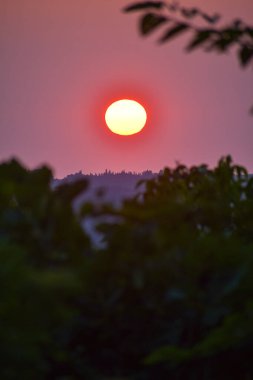 Kızgın bir güneş, bulanık yeşillik sahnesiyle birlikte, karanlık bir ağaç hattının üzerinde asılı duruyor. Gökyüzü güzel bir pembe ve mordur..