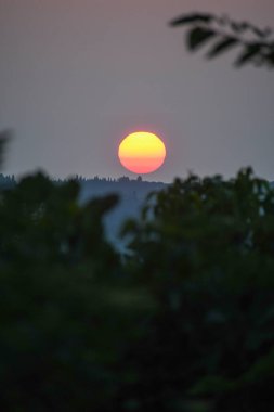Canlı bir güneş ağaç hattının altına batar ve manzarayı aydınlatır. Gün batımında gökyüzü sıcak renklerle doludur..