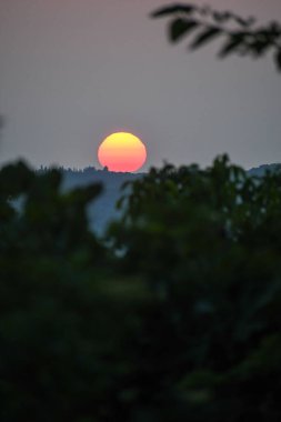 Karanlık ağaçların ardında güneş batıyor. Renkli güneşe ve gri gökyüzüne odaklan. Ön taraf yapraklarla kaplıdır..