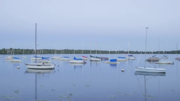 Wide Angle Shot Sailboats Reflecting Calm Lake Harriet Summertime Blue — Stok Video