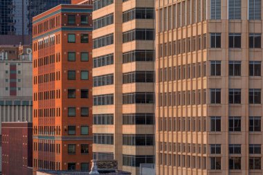 Minneapolis şehir merkezinin telefon çekimleri altın gün batımı ışığı altında yeşil doğudan görüldüğü gibi. 