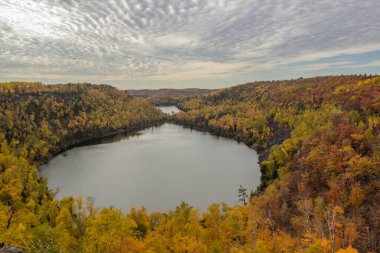 Parkta göl olan sonbahar manzarası 