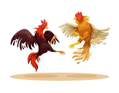 Cockfight traditional animal fight game illustration vector  clipart