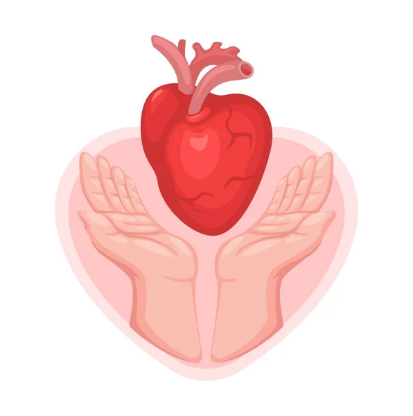 Hari Donasi Organ Dunia Simbol Transplantasi Jantung Vektor Gambar Kartun - Stok Vektor