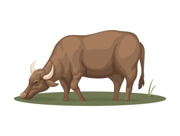 Fattoria Buffalo Bere Acqua Sulla Palude Vettore Illustrazione Della Vita — Vettoriale Stock