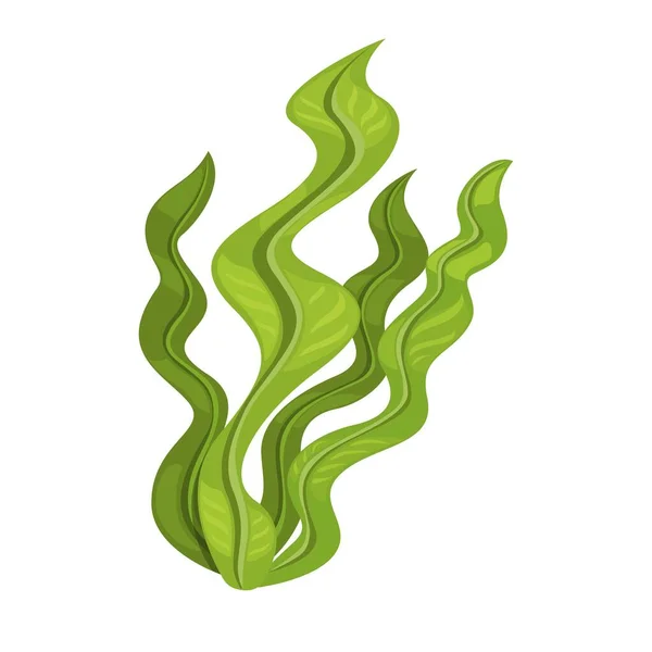 海藻植物のシンボル漫画イラストベクトル — ストックベクタ