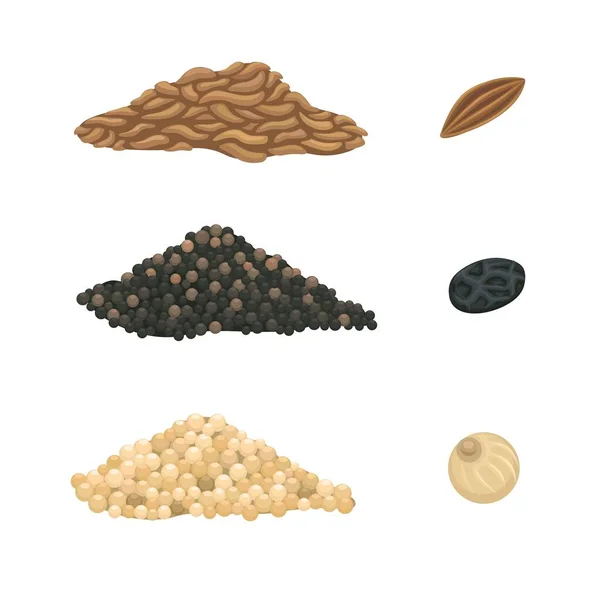 White Black Pepper Cumin Seed Spice Symbol Set Cartoon Illustration — Stock Vector