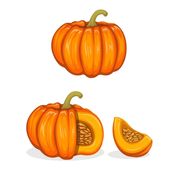 Pumpkin Fruit Symbol Collection Set Cartoon Illustration Vector — Stock Vector