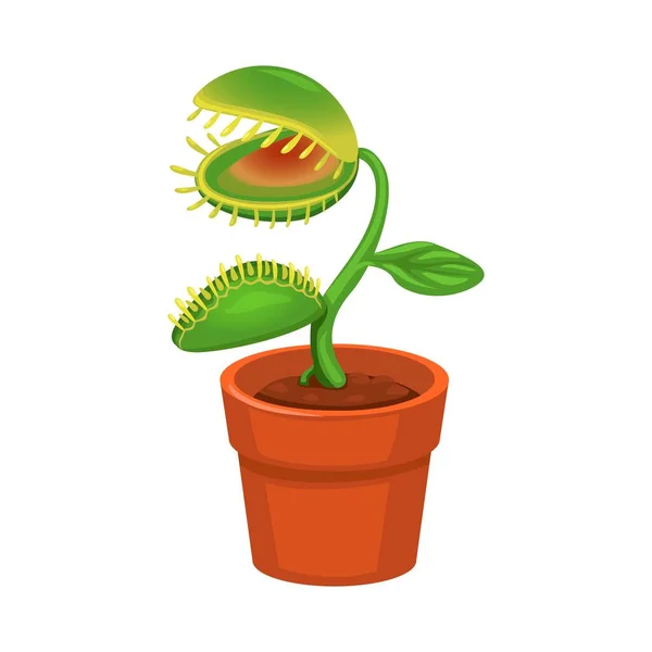 Carnivorous Plant Pot Cartoon Illutration Vector Stok Ilustrasi Bebas Royalti