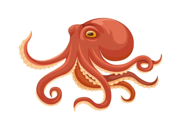 Octopus Aquatic Animal Cartoon Illustration Vector — Stock Vector