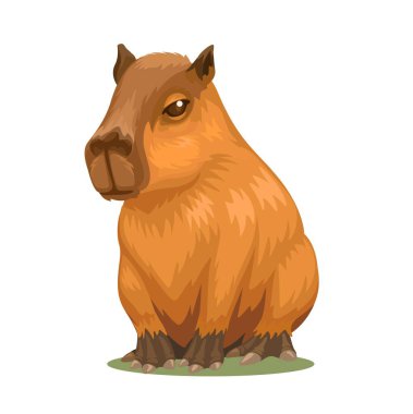 Capybara Hayvan Çizgi Film Vektörü
