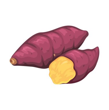 Tatlı Patates Çizgi Film Çizim Vektörü