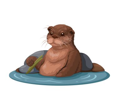 Su Üzerinde Su Samuru Hayvanı Çizgi Film Çizim Vektörü