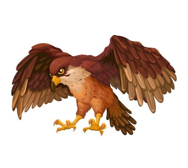 Peregrine Falcon Uçan Çizgi Film Çizim Vektörü