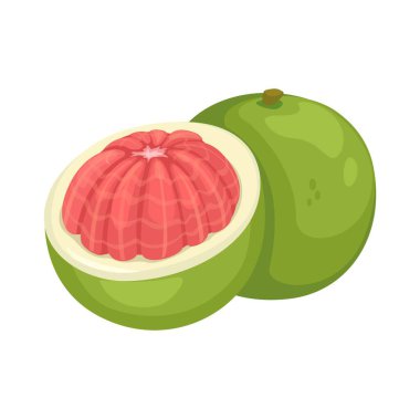 Tam ve Yarım Pomelo Fruit Çizgi Film Çizim Vektörü