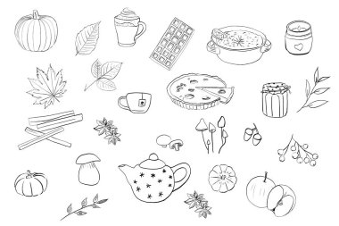 Sonbahar ikonlu vektör koleksiyonu. Sonbahar klip seti yapraklar, balkabağı, meyve ve mantarlar. Sonbahar hediyeleri.