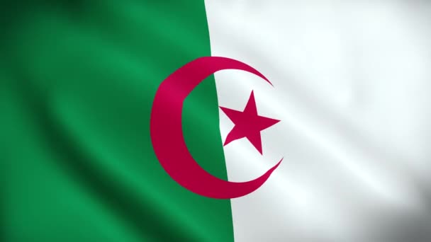 アニメーションを振るアルジェリアの旗 完璧なループ 4Kビデオ背景 公式の色 ループナショナルアルジェリアの旗白半分緑のアニメーション背景4Kあなたの映像のための最良の選択とスーツ — ストック動画