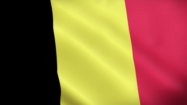 Бельгия Национальный Флаг Видео Бельгия Флаг Размахивая Бесшовной Петлей Видео — стоковое видео