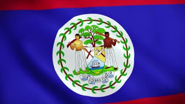 Belize Vlag Zwaaien Animatie Perfecte Looping Video Achtergrond Officiële Kleuren — Stockvideo