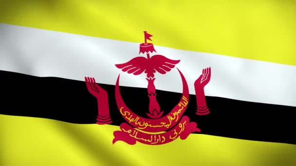 Brunei Darussalam Bayrağı Dalgalanması Mükemmel Döngü Video Arkaplan Resmi Renkler — Stok video