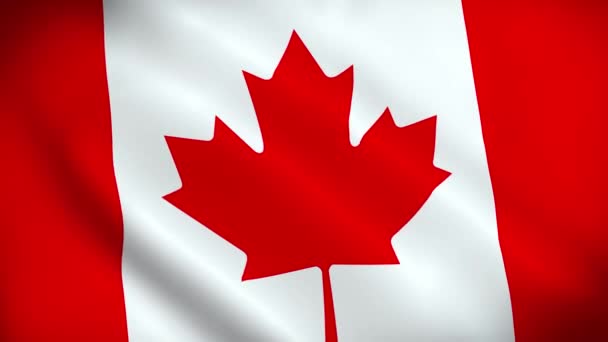 Kanada Zászlója Canada Flag Integetett Kiváló Minőségű Textúra Nemzeti Zászló — Stock videók