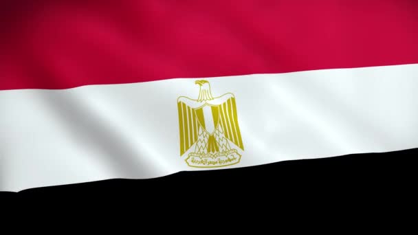 Прапор Єгипту Прапор Єгипту Прапор Єгипту Анімація Крила Прапор Єгипту — стокове відео