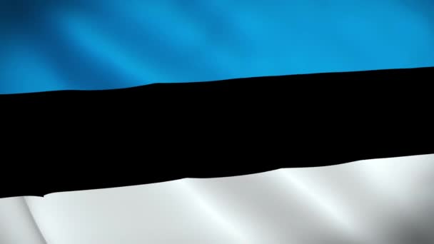 Estonya Bayrağının Güzel Bir Görüntüsü Bayrak Sallama Videosu Estonya Bayrağı — Stok video
