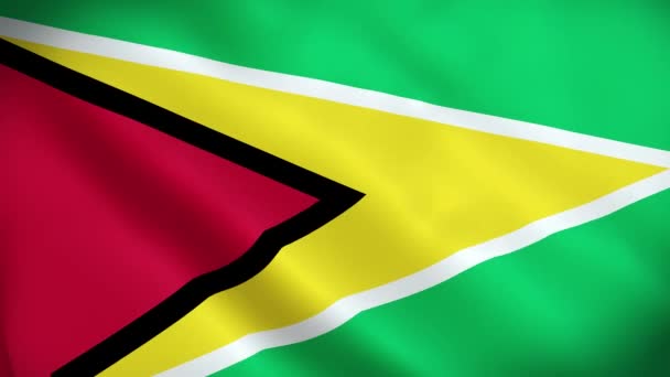 Флаг Гайаны Размахивание Атласной Текстурой Ткани Флаг Гайаны Иллюстрации Real — стоковое видео