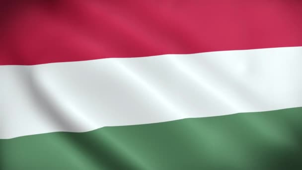 Bandera Hungría Tela Ondulada Satén Textura Bandera Hungría Ilustración Bandera — Vídeo de stock
