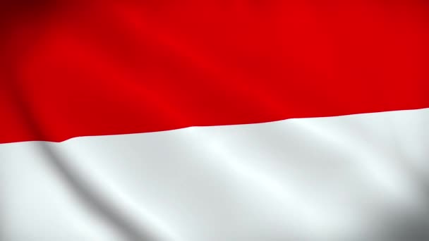 Krympt Tygflagga Indonesien Intro Indonesien Flagga Orientaliska Asienflaggor Asienflaggor Firande — Stockvideo