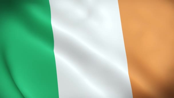 Bandera Irlanda Tela Ondulada Satén Textura Bandera Irlanda Ilustración Bandera — Vídeo de stock