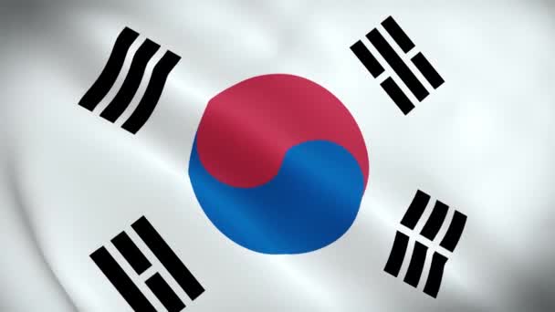 Crumpled Fabric Flag South Korea Intro Sydkoreas Flagga Orientaliska Asienflaggor — Stockvideo