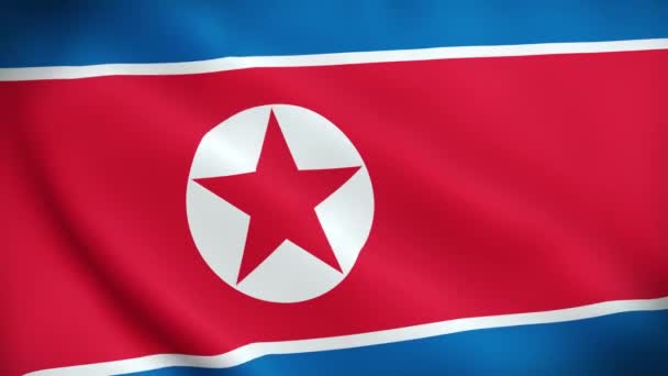 Красивое Видео Флагом Северной Кореи Трехмерное Видео Северной Кореи Slow — стоковое видео