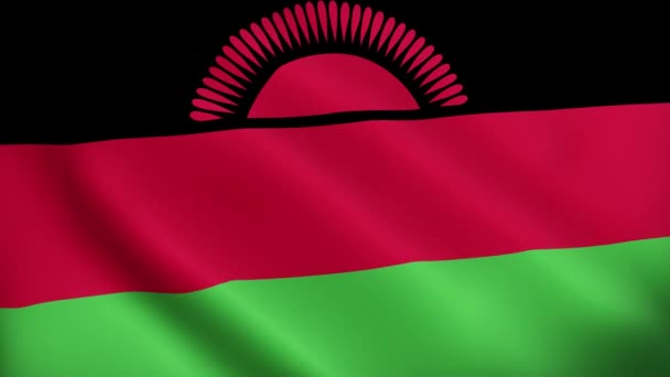 Малавійський Махаючий Прапор Прапор Малавійської Анімації Малавійський Прапор Крупним Планом — стокове відео