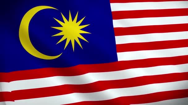 Bandeira Malásia Bandeira Nacional Malásia Bandeira Ondulada Malásia Render Animação — Vídeo de Stock