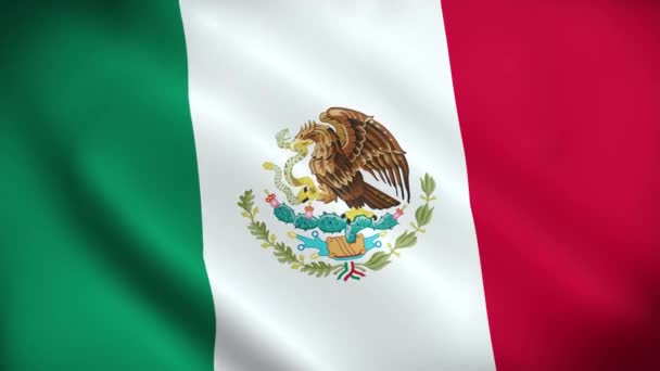 Σημαία Μεξικού Κυματιστή Σημαία Μεξικού Κυματιστή Σημαία Μεξικού Πλάνα — Αρχείο Βίντεο
