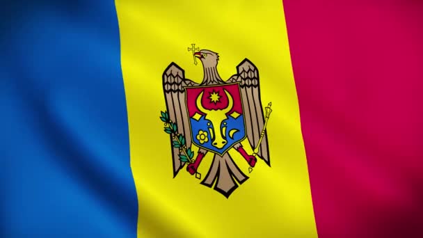 Moldova Dalgalanan Bayrağı Moldova Bayrağı Kumaş Yapısı Olan Moldova Bayrağı — Stok video
