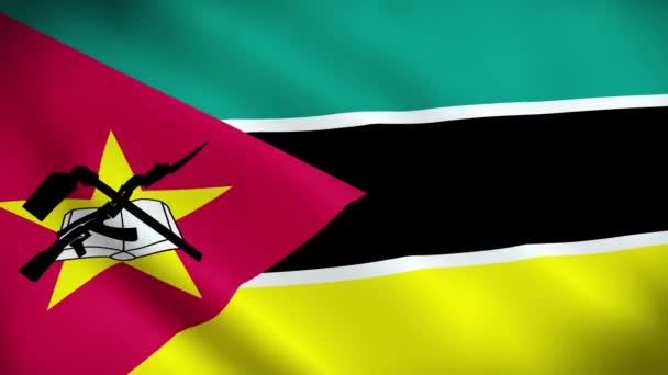 Moçambique Waving Flag Moçambique Flag Moçambique Waving Animation Moçambique Flag — Stockvideo