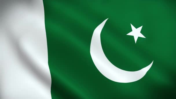 Pakistan Bayrağı Kusursuz Döngü Animasyonu Pakistan Slam Cumhuriyeti Ulusal Bayrağı — Stok video