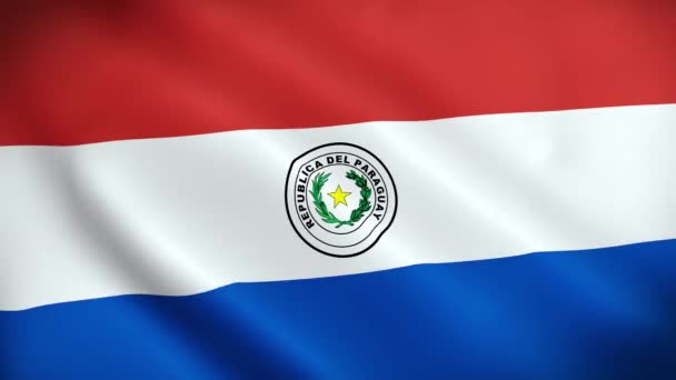 Flaga Paragwaju Machająca Wietrze Wysokiej Jakości Fakturze Fladze Narodowej Płynna — Wideo stockowe