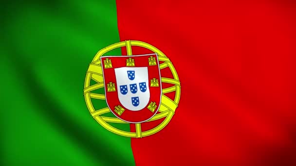 Krásný Výhled Video Vlajkou Portugalska Vlajka Mává Videem Portugalsko Vlajka — Stock video